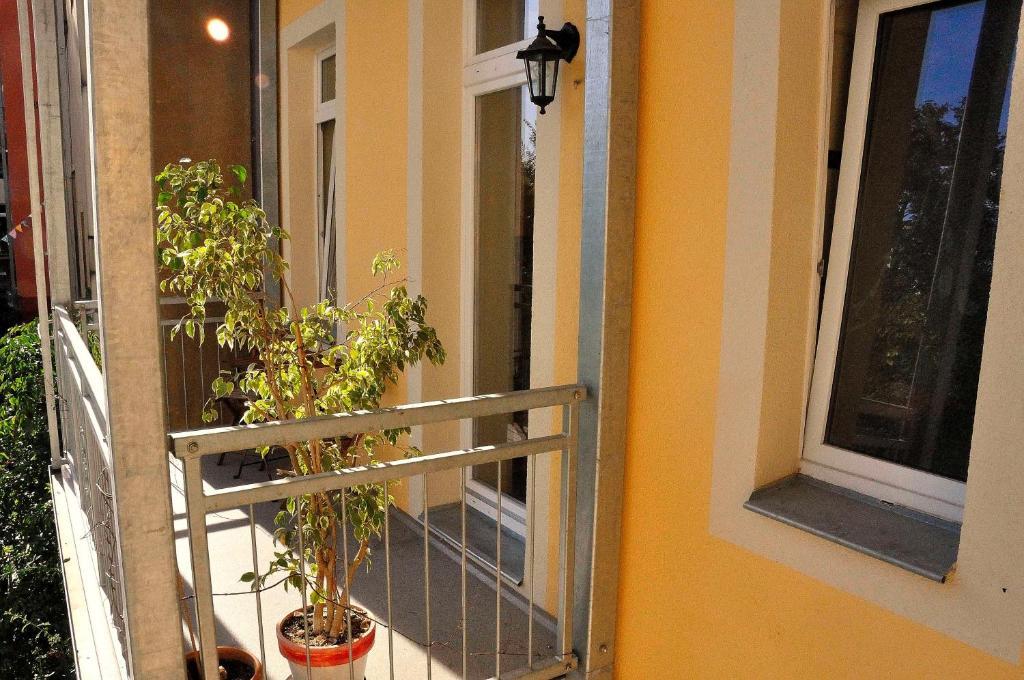 Appartamento Haus Ludwig Dresda Esterno foto